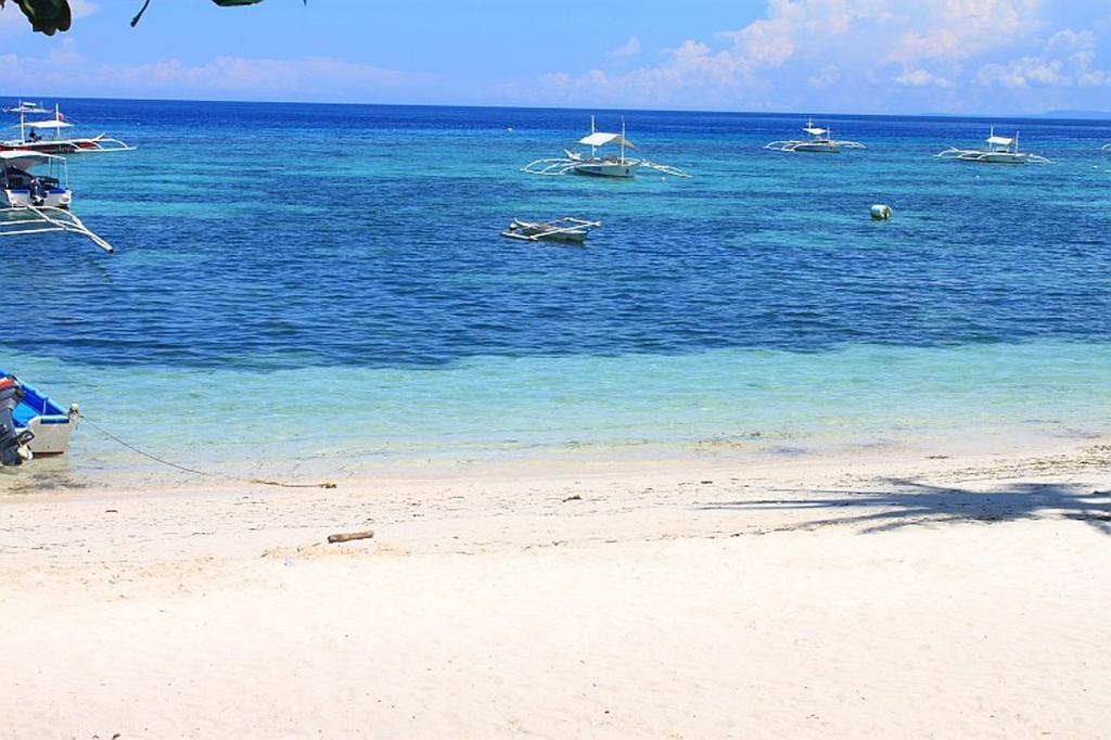 Lost Horizon Beach Dive Resort Bohol Bagian luar foto