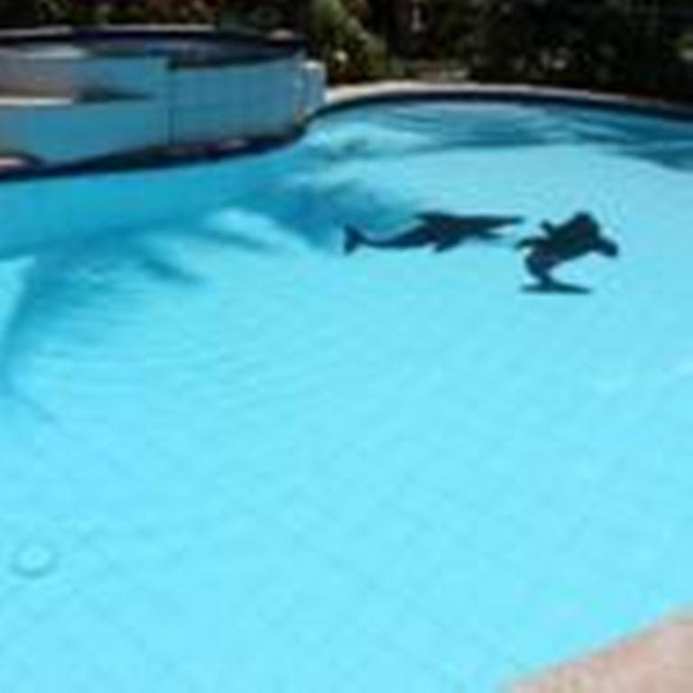 Lost Horizon Beach Dive Resort Bohol Bagian luar foto